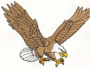 American Spread Eagle looking down about to catch a prey. Digitized for Californian High School Football Team for Jerseys